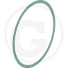 Oring 164,7x3,53 MZ