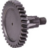 Kuhn 56202510N Koło zębate 34 zęby, prawe