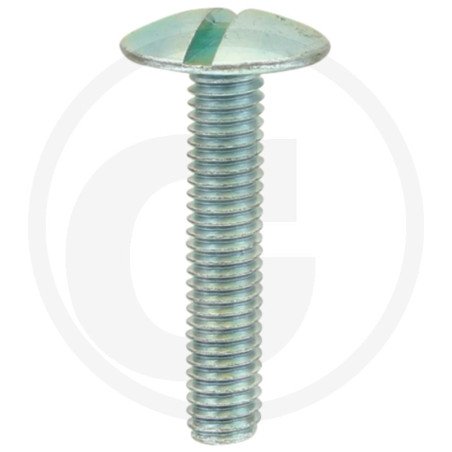 Wkręt M6x30mm Din 88107 z łbem grzybkowym poszerzanym kl.5.6 ocynk