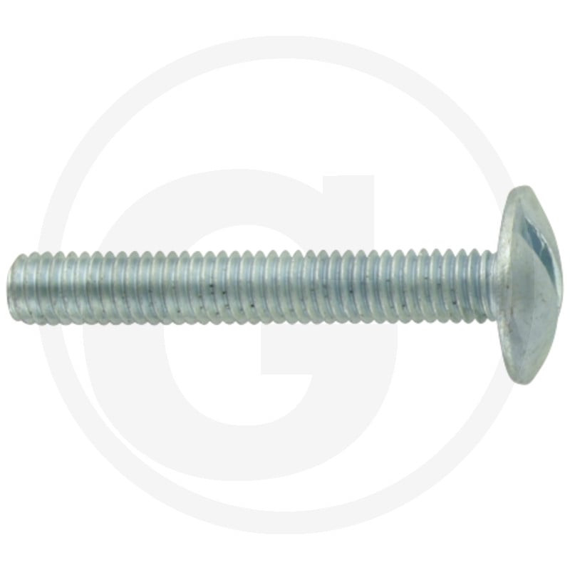 Wkręt M6x40mm Din 88107 z łbem grzybkowym poszerzanym kl.5.6 ocynk