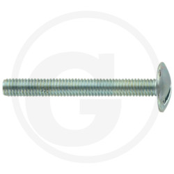 Wkręt M6x50mm Din 88107 z łbem grzybkowym poszerzanym kl.5.6 ocynk4043952666258