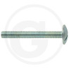 Wkręt M6x50mm Din 88107 z łbem grzybkowym poszerzanym kl.5.6 ocynk4043952666258