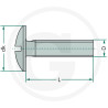 Wkręt M8x20mm Din 88107 z łbem grzybkowym poszerzanym kl.5.6 ocynk