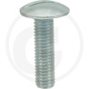 Wkręt M8x30mm Din 88107 z łbem grzybkowym poszerzanym kl.5.6 ocynk