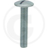 Wkręt M8x45mm Din 88107 z łbem grzybkowym poszerzanym kl.5.6 ocynk4043952666326