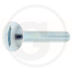 Wkręt M8x50mm Din 88107 z łbem grzybkowym poszerzanym kl.5.6 ocynk