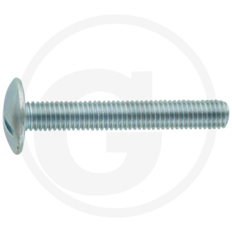 Wkręt M8x55mm Din 88107 z łbem grzybkowym poszerzanym kl.5.6 ocynk4043952666340