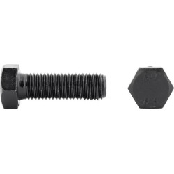 Śruba M16x60 kl.8.8, SW24 cały gwint, czarna (kg) M16x2,00x60