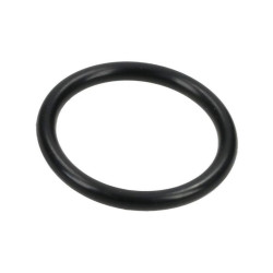 1210000200 Comet Oring 20,7x2,62