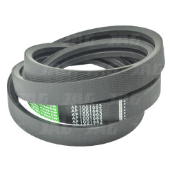 (7B) Pas 2HB3800La, 2B150"  Optibelt