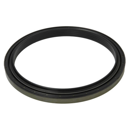 ZF 0734.309.423 Simmering 150,15x175x13/16 ZF, 0734309423
