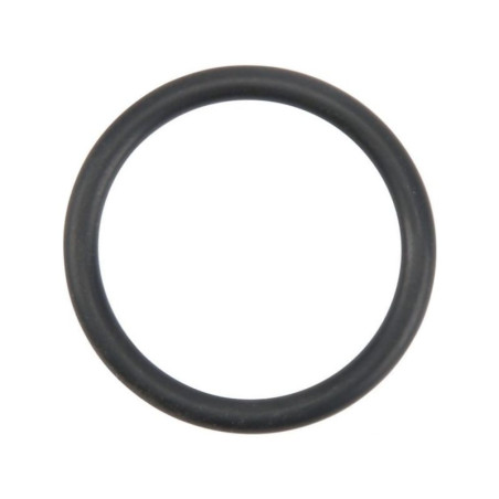 O-ring 37810278