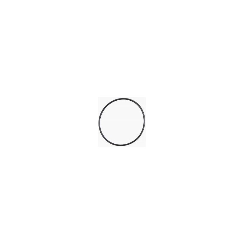 B&P 358000006R02 Oring 139x2,6 Bondioli Pavesi