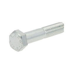 Screw m12x1,75x65 u5737 F01020192R Maschio F01020192R