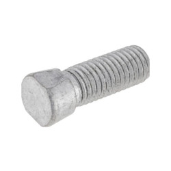 Screw cone-head oval m12x38 F01110052R Maschio F01110052R