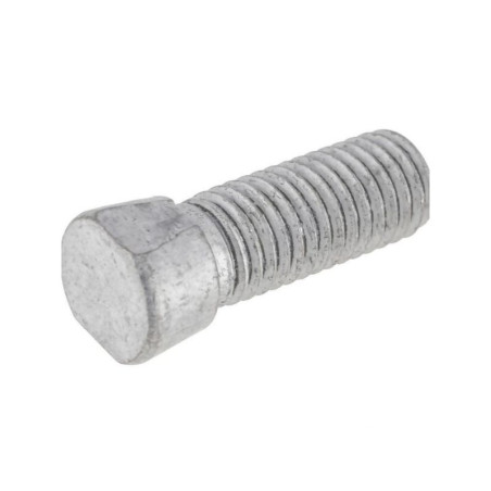 Screw cone-head oval m12x38 F01110052R Maschio F01110052R