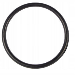 B&P 358000007R02 Oring 64,7x2,6 Bondioli Pavesi