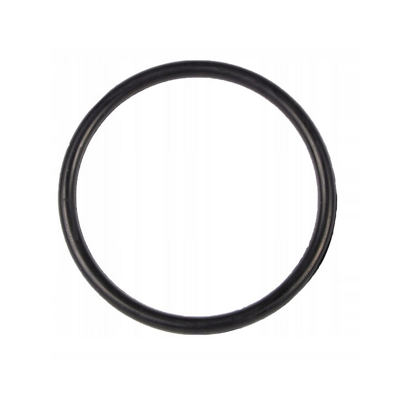 B&P 358000007R02 Oring 64,7x2,6 Bondioli Pavesi