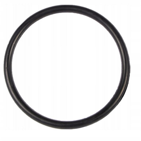 B&P 358000007R02 Oring 64,7x2,6 Bondioli Pavesi