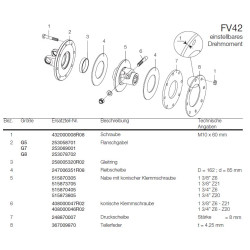 B&P 515873805R Piasta sprzęgła FV42 1i3/4"Z20 Bondioli Pavesi