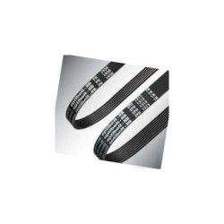 Pas wielorowkowy 5PJ457 Optibelt 4014486119633