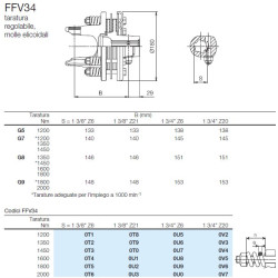 B&P 63548303R Sprzęgło cierne FFV34 1200Nm 1i3/8"Z6 - 30,2x79,4 G5 Bondioli Pavesi