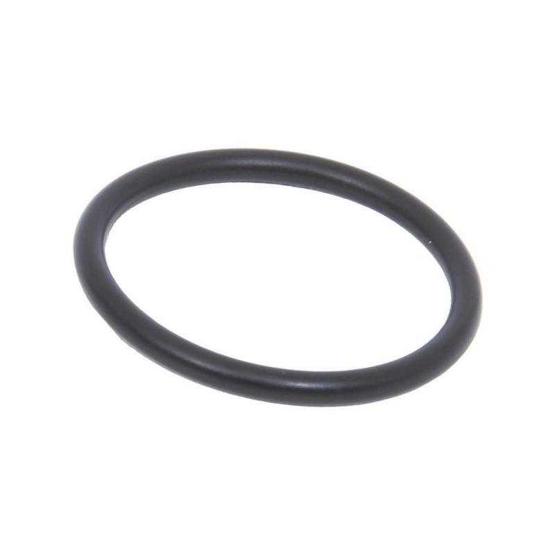 O-ring 14457980