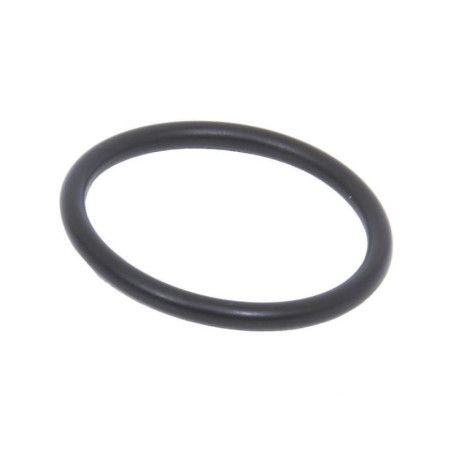 O-ring 14457980