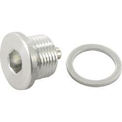 Comer 9510107100 Korek 3/8" BSP magnetyczny przekładni Comer