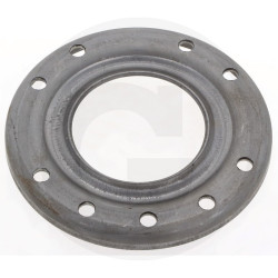 B&P 248860006R02 Płyta cierna 4mm Bondioli Pavesi