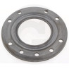 B&P 248860006R02 Płyta cierna 4mm Bondioli Pavesi