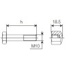 B&P 432000142R08 Śruba M10x66,35mm Bondioli Pavesi