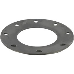 B&P 367009870R Sprężyna talerzowa FV44 4,25mm Bondioli Pavesi