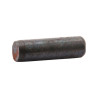 Kołek cylindryczny 9545490 Krone 9545490
