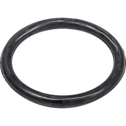 Annovi Reverberi 740290 O-ring