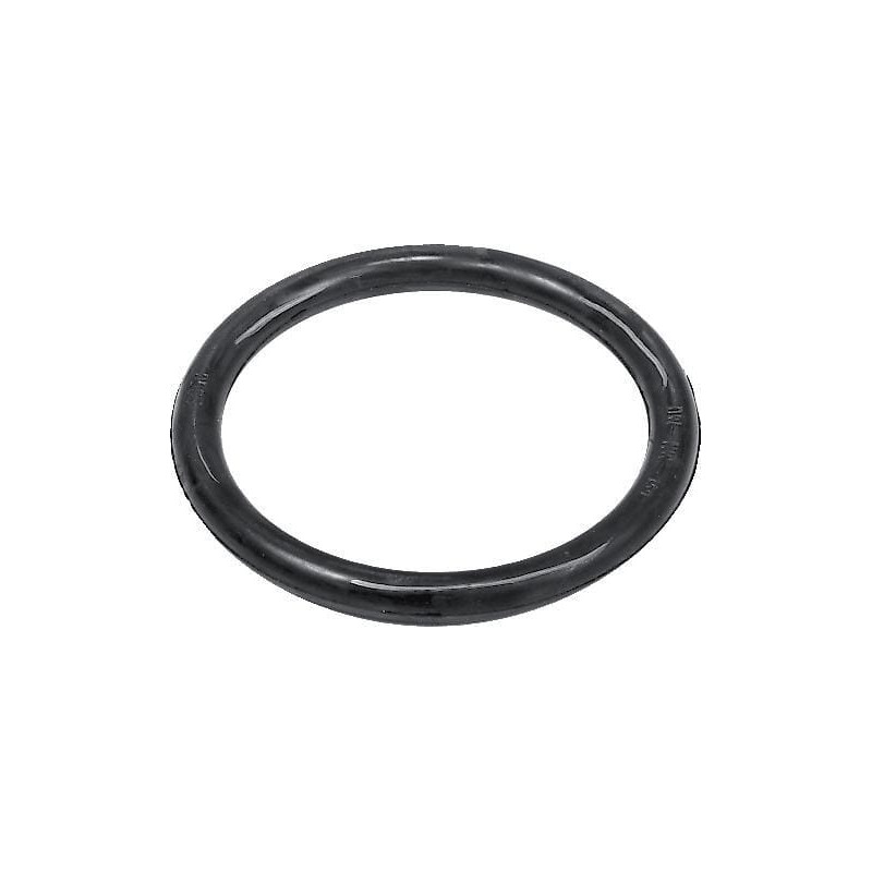 Annovi Reverberi 740290 O-ring