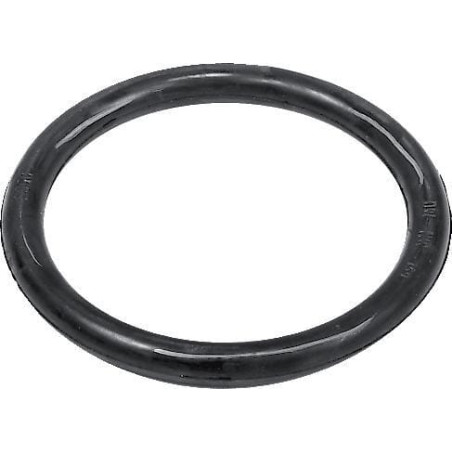 Annovi Reverberi 740290 O-ring