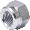 Nut M12x1,5 F01250040R Gaspardo F01250040R