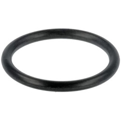 Oring uchwytu dyszy MF 4225847M1 Massey-Ferguson 4225847M1