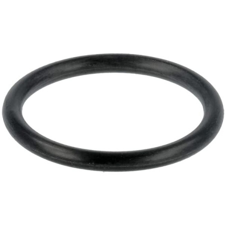 Oring uchwytu dyszy MF 4225847M1 Massey-Ferguson 4225847M1