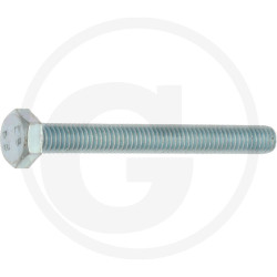 Sechskantschraube DIN 933 M6 x 55 stal 8.8
