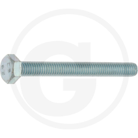 Sechskantschraube DIN 933 M6 x 55 stal 8.8