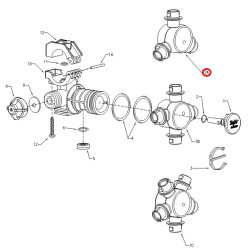 CP38921-2-NYB