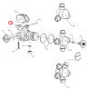 CP38942-2-NYB - 1/2"