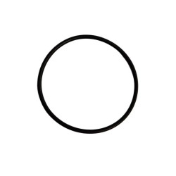 Oring 44,2x3 Viton