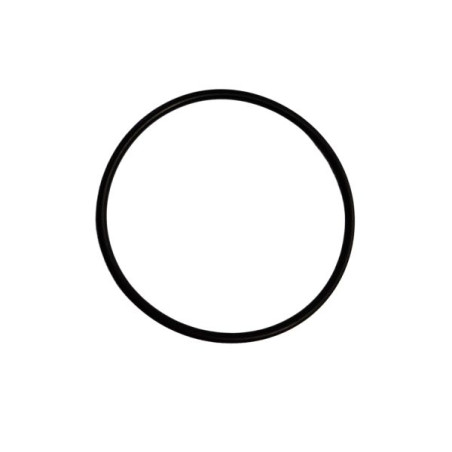 Oring 44,2x3 Viton