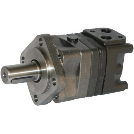 Silnik orbitalny, wał Ø 32 mm 315cc standard