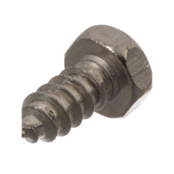 Gaspardo F01070011R - Śruba H4,2x1,41x9,5