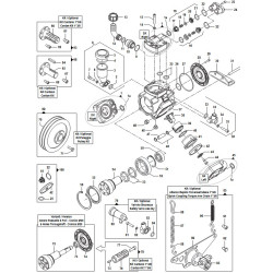 Katalpg APS31