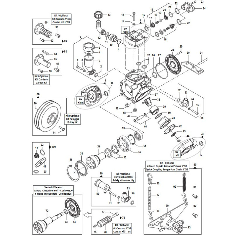 Katalpg APS31
